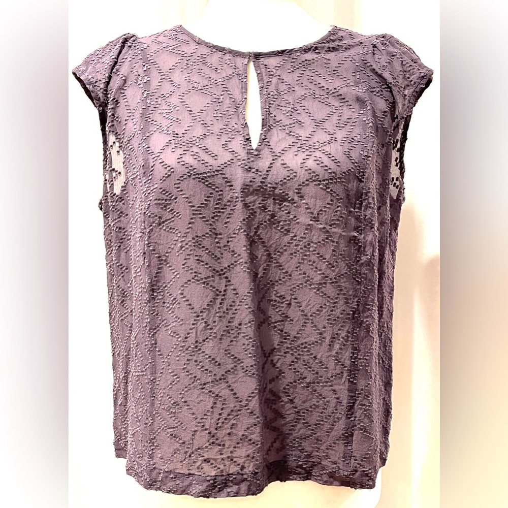 Broadway & Broome Capped Sleeved Sheer Top